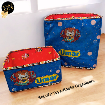 Baby Lion Set of 2 Toys or Books Organizers